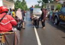 Laka Lantas di Jalan Raya Batang-Batang Sumenep Mengakibatkan 2 Pengendara Sepeda Motor Meregang Nyawa